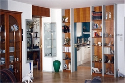 Trennwand; Teilung von K�che und Wohnzimmer durch B�cherregal mit luftiger Optik und integrierter Glasschiebet�r